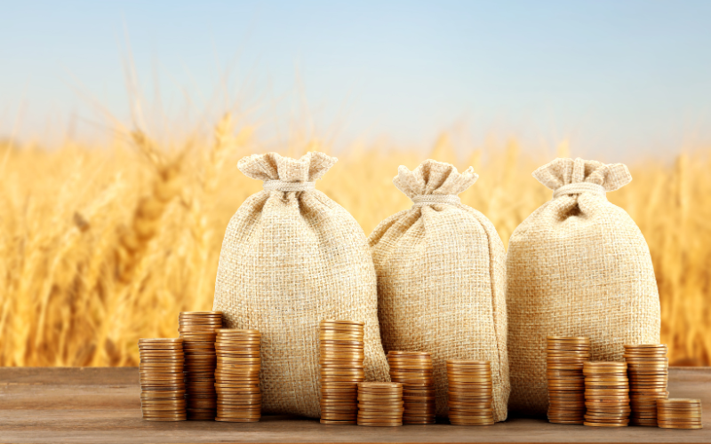 Agriculture Loan
